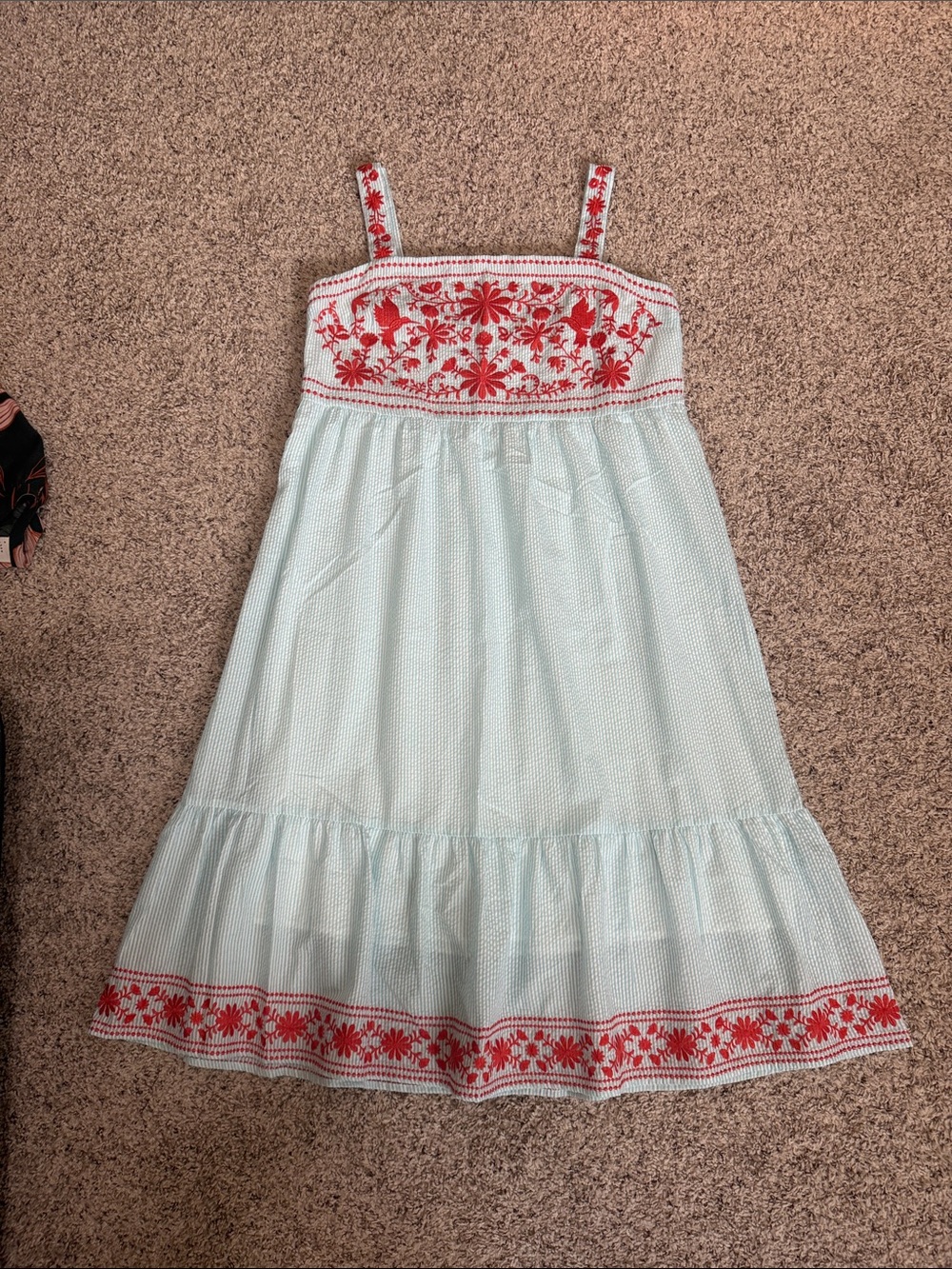 Light Blue Maxi Dress with Red Floral Embroidery